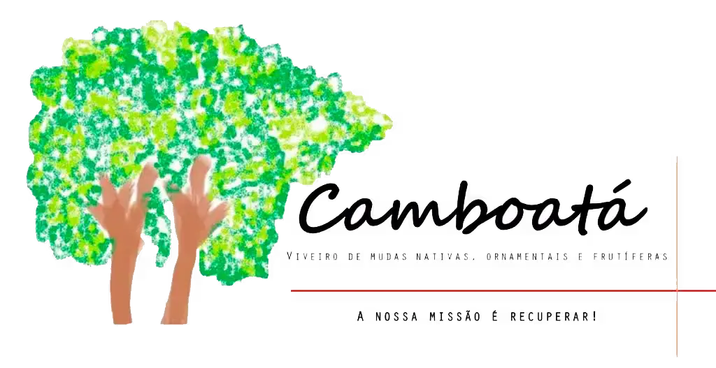 viveirocamboata-logo