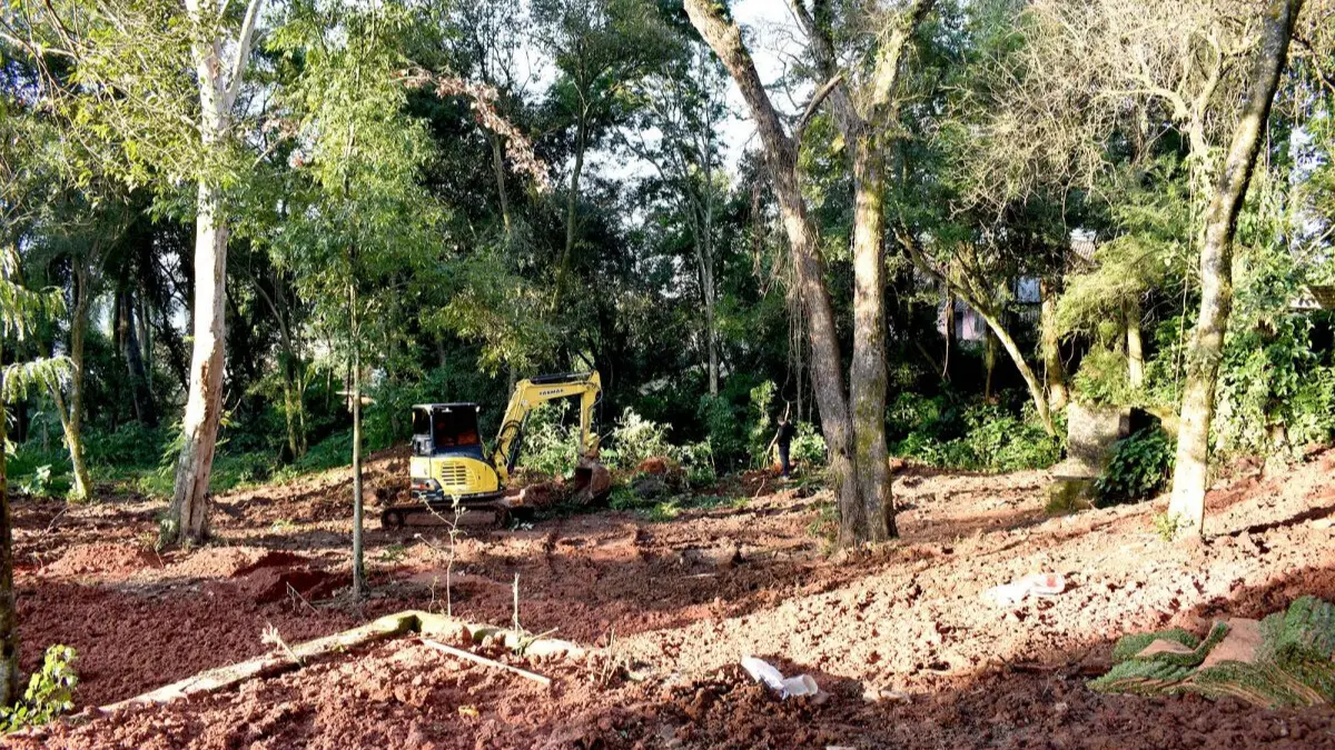 retroescavadeira em meio à vegetação limpando espaço entre as árvores e o chçao barroso.